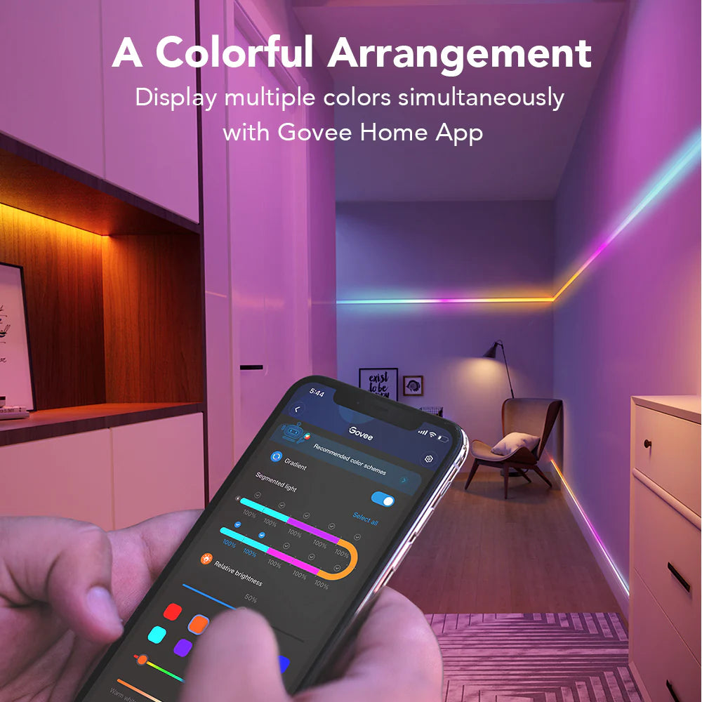 Govee RGBIC Smart Wi-Fi + Bluetooth LED nauha suojattu 2x10m 