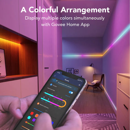 Govee RGBIC Smart Wi-Fi + Bluetooth LED nauha suojattu 2x10m 